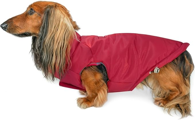 DJANGO Reversible Puffer Dog Coat – Warm Winter Dog Jacket & Water-Repellent Insulated Dog Coat with Harness Hole, Windproof, Adjustable Fit for Small & Medium Dogs, Dachshunds – Lava Red, Medium