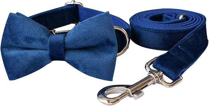Dog Collar Custom Personalized Engraved Name and Phone Number for Puppy Small Medium Large Pets (L, Blue)