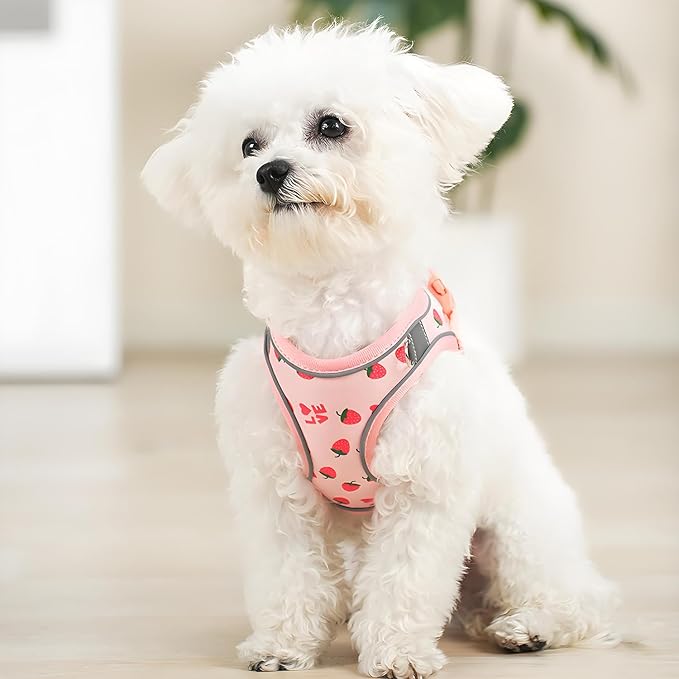 Step in Dog Harness and Leash Set, Flower Adjustable Easy Walk Puppy Harnesses, Soft Mesh No Pull Pet Vest Harness for Small Dogs and Cats(Strawberry, XXS)