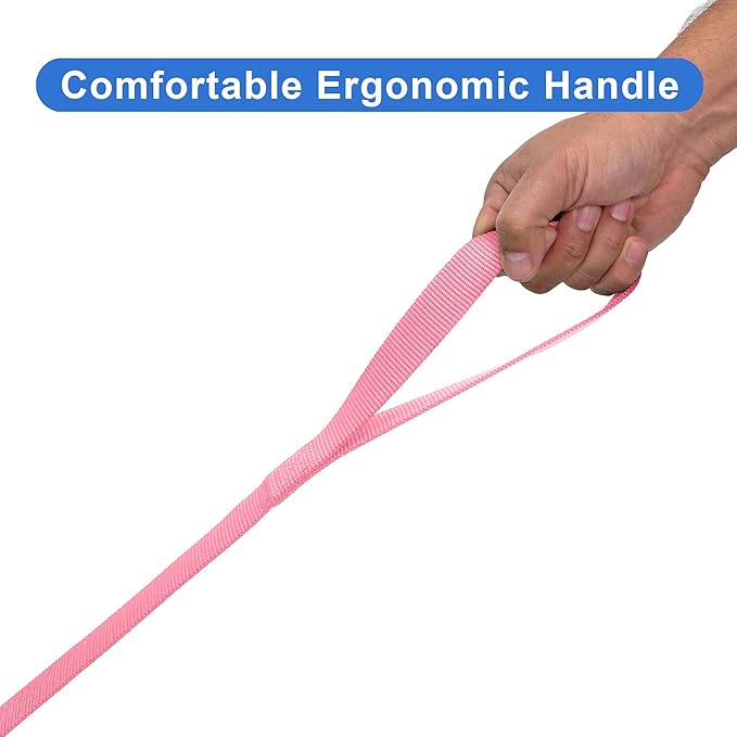 Pawtitas 6 FT Solid Color Leash for Puppy and Dog Training - Extra Extra Small, Millennial Pink