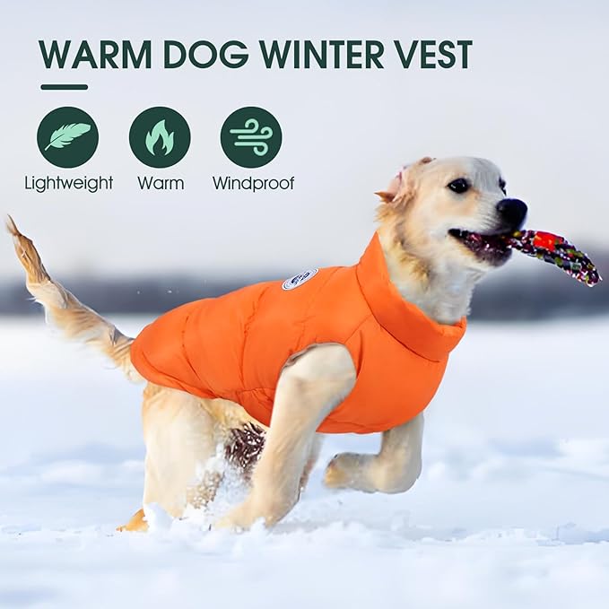 Kuoser Dog Coat Warm Dog Puffer Jacket, Windproof Dogs Padded Vest Lightweight Cold Weather Coats Pet Snowsuit Soft Puppy Winter Clothes for Extra Large Dogs, Button Design, Easy On/Off, Orange 2XL