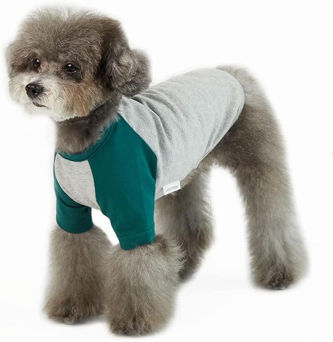 Dog Shirt for Small and Large Dogs Raglan Cotton T-Shirts Soft Breathable Dog Shirts pet Clothes Gray Series (Medium, Gray/Green)