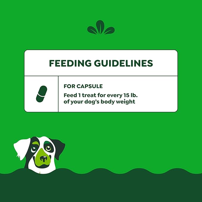Greenies Pill Pockets for Dogs Large Size, Soft Dog Treats, Hickory Smoke Flavor, 7.9 oz. Pouch (30 Treats)