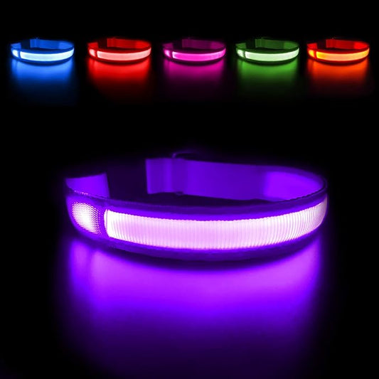 MASBRILL Light Up Collar, LED Rechargeable Glow Flashing Night Collar, Waterproof, 4 Colors, 3 Sizes for Small to Large Dogs (S(0.98 * 15.75"), Purple)