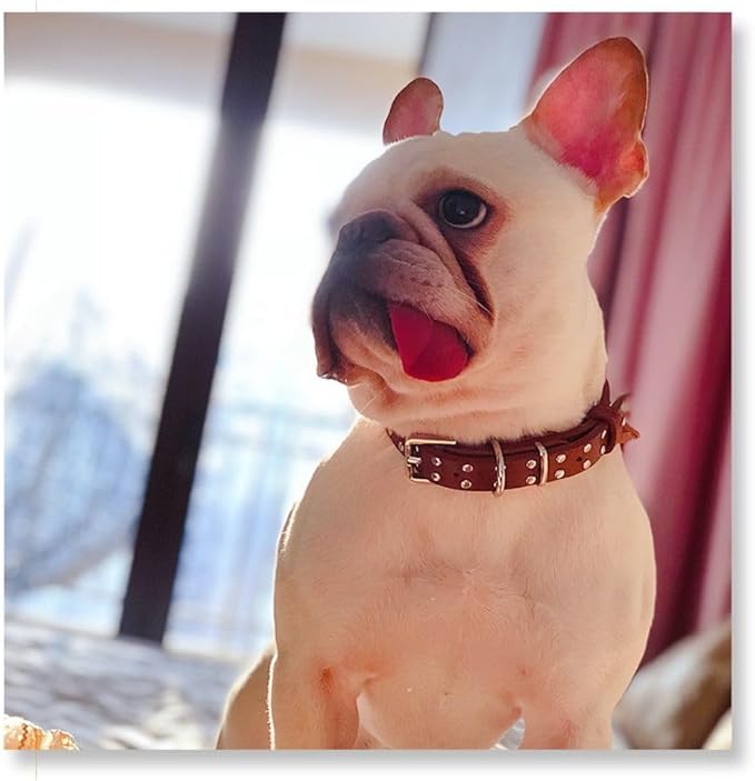 Studded Leather Dog Collar – Durable Adjustable Collar, Brown Small