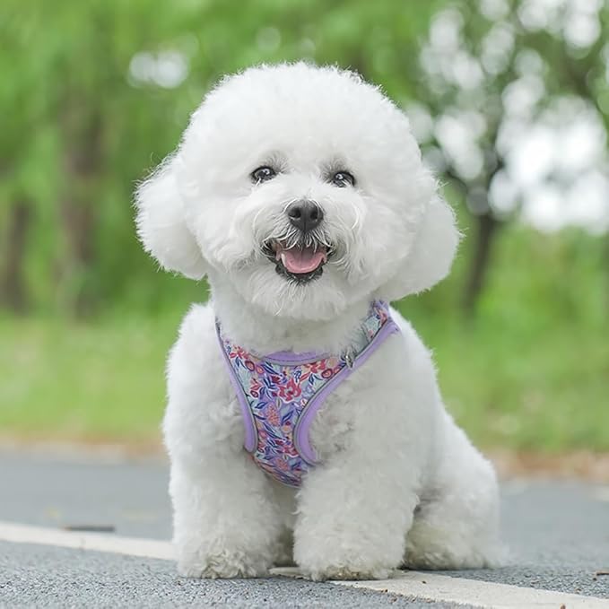 Step in Dog Harness and Leash Set, Flower Adjustable Easy Walk Puppy Harnesses, Soft Mesh Pet Vest Harness Small Size Dog Adjustable No Pull Dog Harness for Small Dogs and Cats(Light Purple, XS)