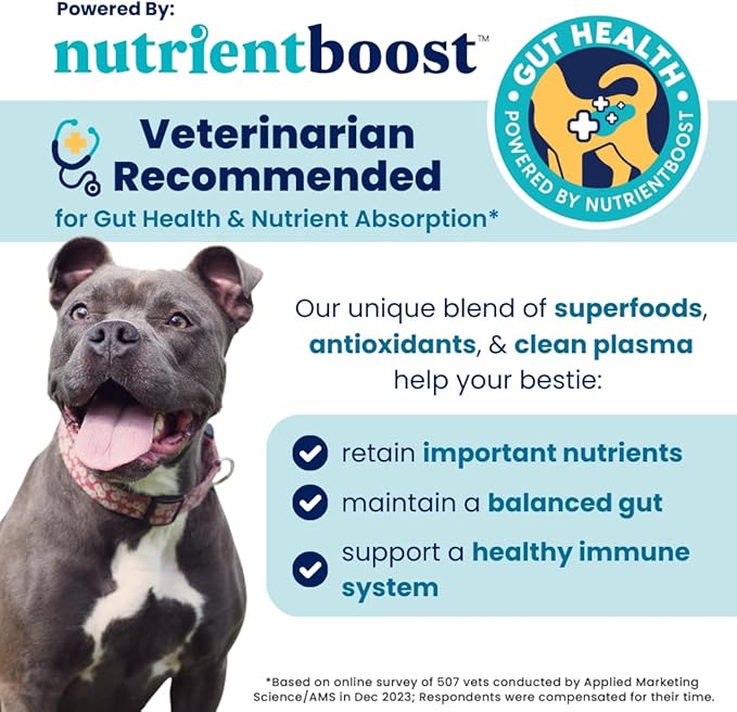 Solid Gold Healthy Dog Treats - Functional Peanut Butter Dog Treats w/Salmon Oil & Superfoods for Skin & Coat + Gut Health - Gluten Free Healthy Training Treat for Dogs of All Ages & Sizes - 5.2oz