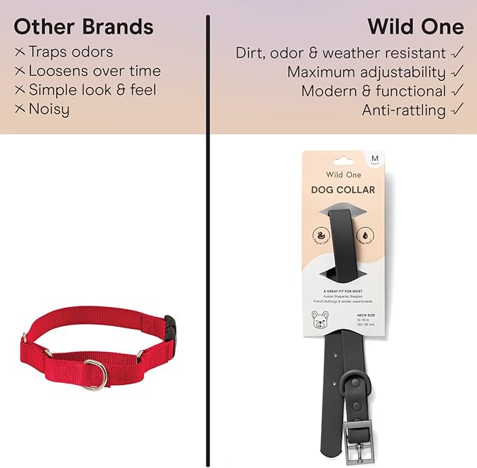 Wild One Dog Collar, The Original Easy-Clean, All Weather Flex-Poly Strap with Metal, Durable, Dirt and Odor Resistant, Size XS, Black
