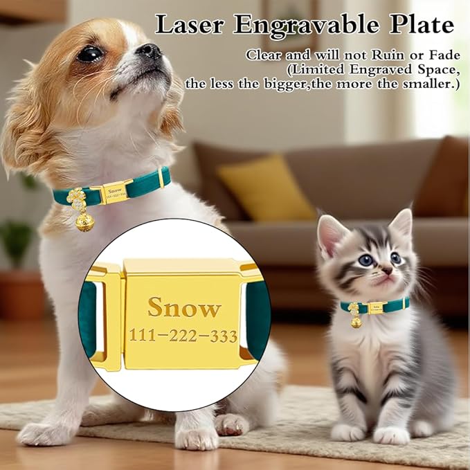 Personalized Breakaway Cat Collars - Magnetic Buckle, Bell - Safety Quick Release, Customized for Girls & Boys Cats- (Velvet-Green)