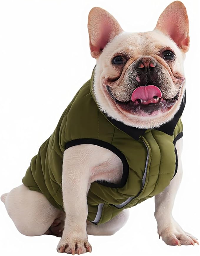 PetWarm Reversible Dog Winter Coat, Windproof Dog Puffer Vest, Soft Vest for Dogs with Hook-and-Loop Strap for Easy Dressing, Waterproof Coat for Dogs with Adjustable Fit, Green, L