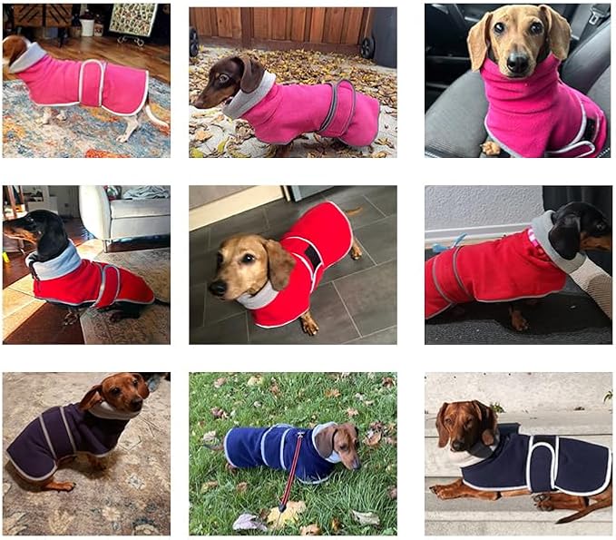 Geyecete Dachshund Sweaters - Dachshund Dog Jacket, Winter Coat with Padded Fleece Lining and High Collar, Snowsuit with Adjustable Bands - Blue - S