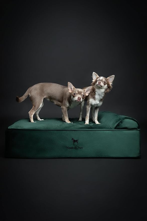 NOAH & PAW Dog Bed, 28x23x7.5 Inch, Orthopedic Dog Beds for Medium Size Pets, Eggshell Memory Foam Infused with Cooling Gel, Waterproof, Machine Washable, Includes Inner Cover (Velvet Collection)