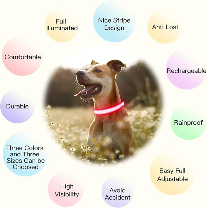 YFbrite Light up Dog Collar, USB Rechargeable LED Puppy Collar Super Bright Adjustable Glowing Dog Lights for Night Walking (Design 2- Pink, Small)
