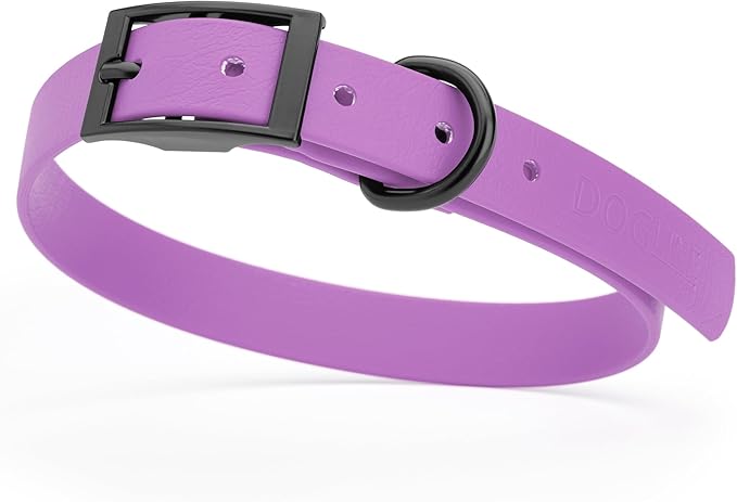 Dogline Biothane Waterproof Dog Collar Strong Coated Nylon Webbing with Black Hardware Odor- Proof for Easy Care Easy to Clean High Performance Fits Small Medium or Large Dogs, Amethyst Purple