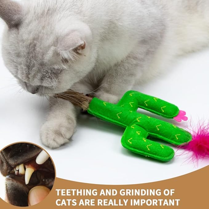 PAZ'S GIFT Catnip Toys - Cat Kick & Rope Toys for Indoor Play, Cat & Kitten Teething Chew Toys for Aggressive Chewing & Teeth Cleaning (Polygonum tinctorium Cactus)
