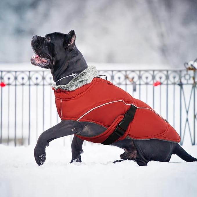 DENTRUN Dog Winter Coat - Windproof Reflective Jacket, Plush Turtleneck & Adjustable Belt, Water Repellent Fleece Lined Cold Weather Vest for Corgi Bulldog, Red, L