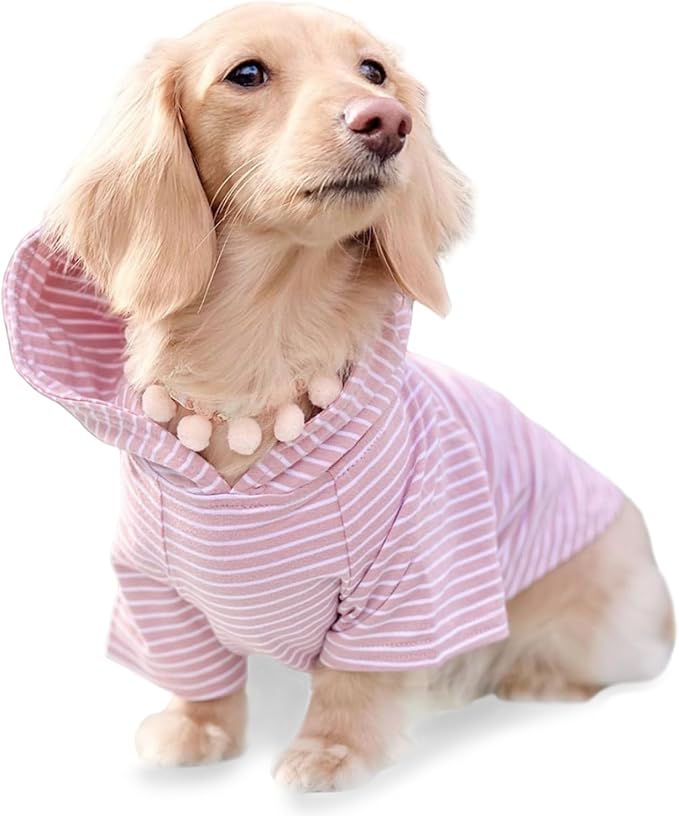 DJANGO Dog Hoodie – Warm, Lightweight, Soft & Stretchy Dog Sweater with Hood, Harness Hole & Elastic Waistband – Cozy Sweatshirt for Small Dogs up to 25 lbs, Dachshunds & Puppies – Blush Pink, X-Small