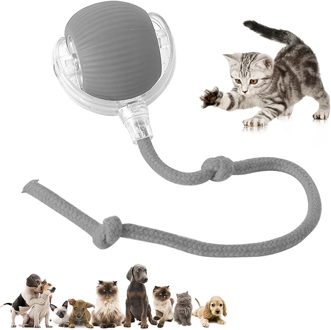 Chewie Viral Rolling Pet Ball, Interactive Cat & Dog Toy, 360 Smart Automatic Rolling Ball (Grey)