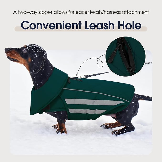 IECOii Dog Winter Jacket - Reflective & Waterproof & Windproof Coats with Adjustable, Warm Fleece Lining, Running, Camping, Green, Sizes XXXL