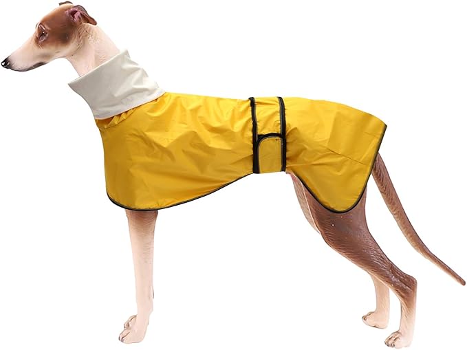 Dog Raincoat with Reflective Bar, Rain/Water Resistant, Adjustable Vest - Dog Raincoats for Greyhounds, Lurchers and Whippets - Yellow - M