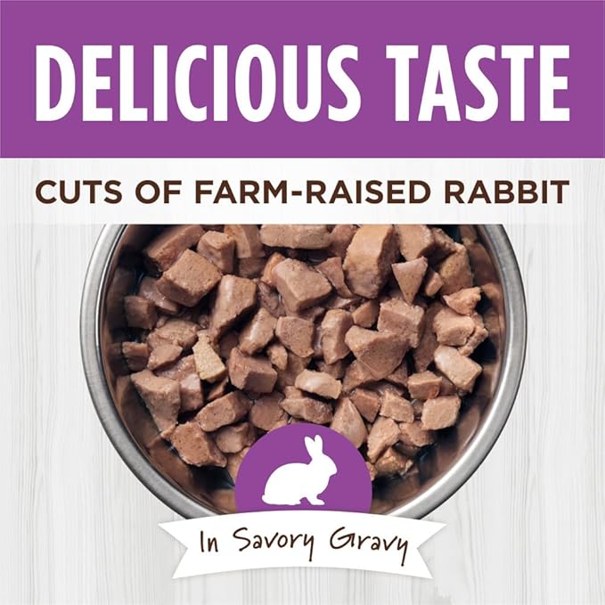 Instinct Healthy Cravings Natural Wet Cat Food Topper, Grain Free Recipe - Real Rabbit, 3 oz. Pouches (Pack of 24)