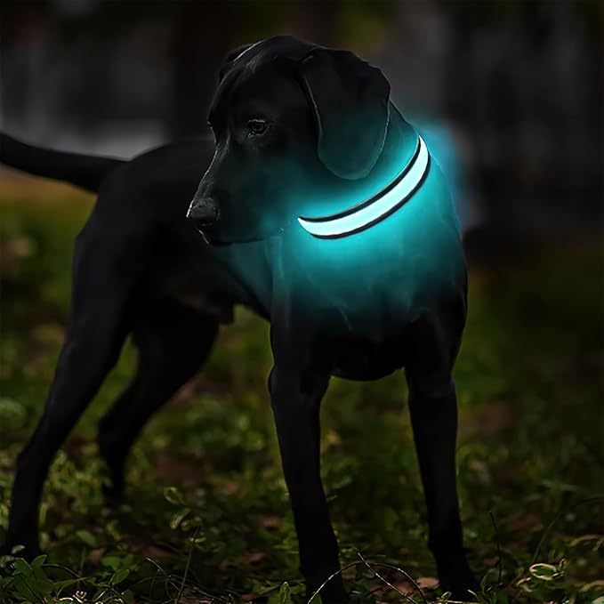 MASBRILL Light Up Dog Collars - LED Dog Collar Rechargeable Lighted Dog Collar Resistant-Water Night Walking Glow Dog Collars