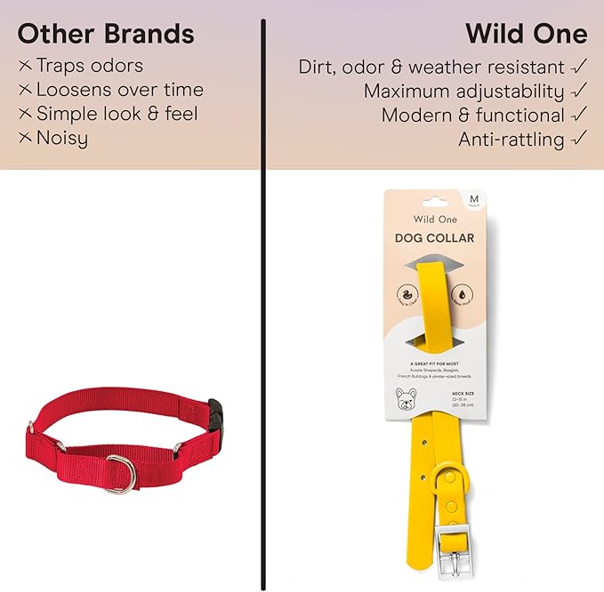 Wild One Dog Collar, Easy-Clean, All Weather Flex-Poly Strap with Metal, Durable, Dirt and Odor Resistant (Butter, M)