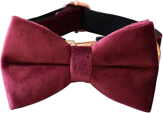 Dog Collar Custom Personalized Engraved Name and Phone Number for Puppy Small Medium Large Pets (L, Red Wine)