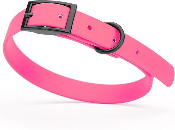 Dogline Biothane Waterproof Dog Collar Strong Coated Nylon Webbing with Black Hardware Odor- Proof for Easy Care Easy to Clean High Performance Fits Small Medium or Large Dogs, Passionfruit Pink