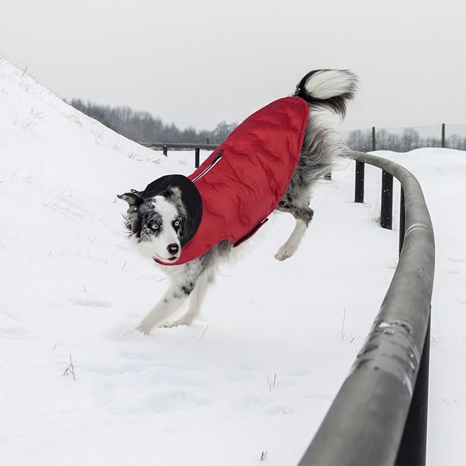 Nanaki Warm Dog Puffer Jacket with Hood-Soft Reflective Dog Coat for Medium Dogs Cold Weather,Lightweight Windproof Snowproof Puffer Vest for Outdoor Walking Hiking, Adjustable Snowsuit Easy On,Red