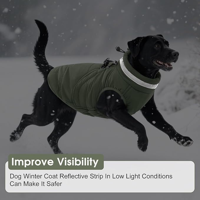 SAWMONG Dog Coat, Warm Dog Winter Coat, Waterproof Fleece Jacket, Cold Weather Dogs Jacket (L,Green)