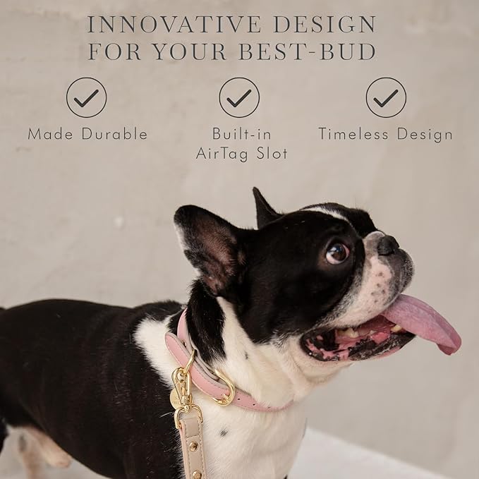NINA WOOF Cupertino Dog Collars, Harnesses & Leashes Made from Vegan Leather with Dog Tracker Device Holder Adjustable Dog Collar (Small (Neck: 12x15), Pink)