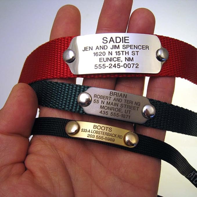 LuckyPet Rivet-On Pet ID Tag - Personalized, Silent and Customized - Suitable for Cats and Dogs - Heavy-Duty Pet Identification - Engraved Tags - Large, Mirror Finish Stainless Steel