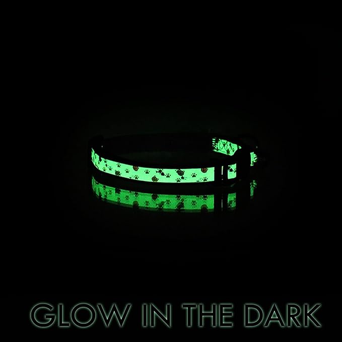 Pawtitas Pet Glow In The Dark Cat Collar with Safety Buckle and Bell Grey Hook