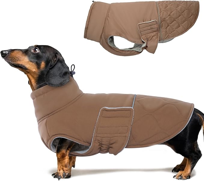 BRKURLEG Dog Winter Coat, Warm Dog Jackets for Small and Medium Large Dogs, Reflective Adjustable Pet Cold Weather Coats, Waterproof Windproof Dogs Snow Jacket Clothes Warm Vest (XS, Khaki)