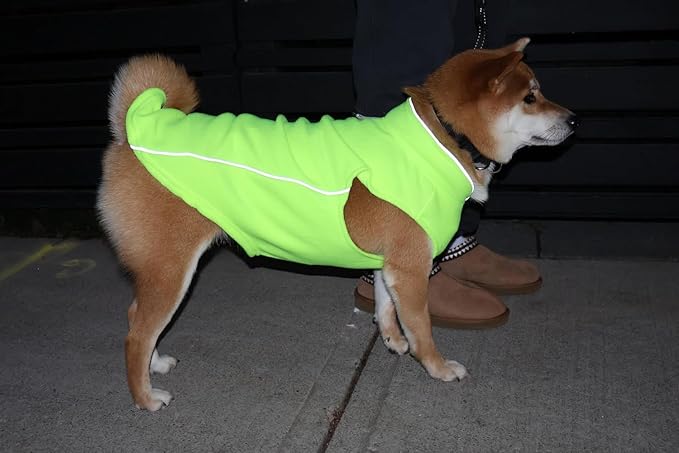 JACKO & CO - Fleece Vest Dog Sweater with Leash Ring - Soft, Warm & Lightweight Pullover Coat for Small & Medium Dogs, Puppies & Cats - Cozy Fall/Winter/Spring Pet Jacket (Lime Green, Large 10-16lbs)
