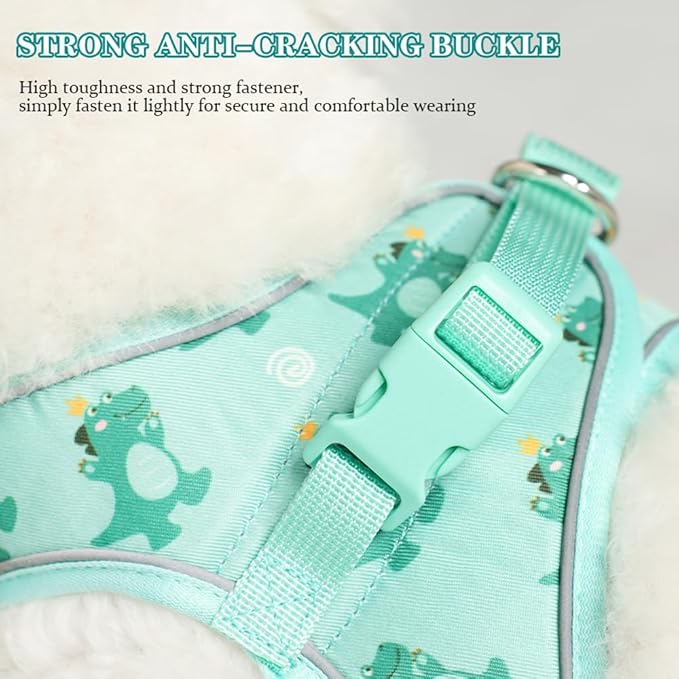 Step in Dog Harness and Leash Set, Flower Adjustable Easy Walk Puppy Harnesses, Soft Mesh No Pull Pet Vest Harness for Small Medium Dogs(Green, M)