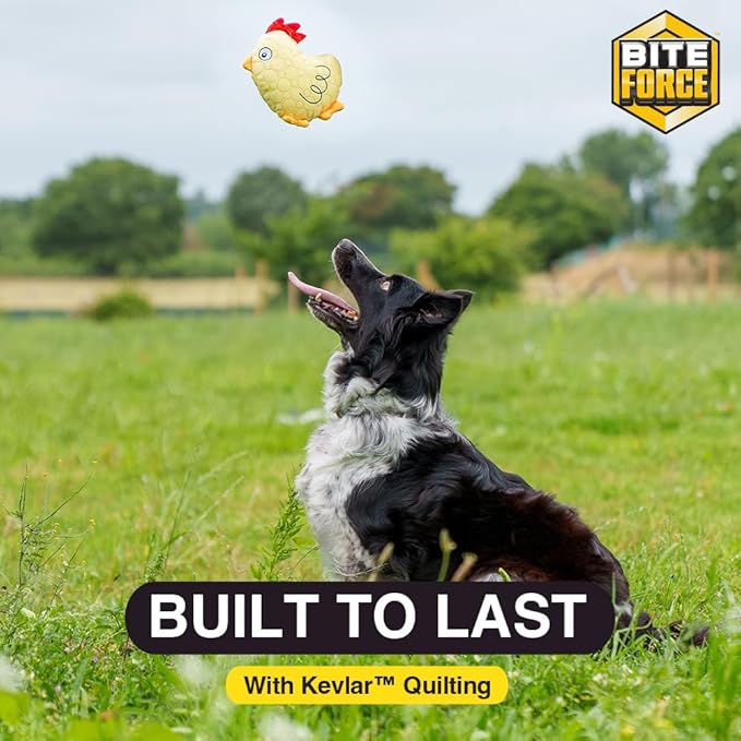Bite Force - Durable & Strong Dog Toy Racoon with Squeaker, Kevlar-Reinforced Seams for Aggressive chewers.