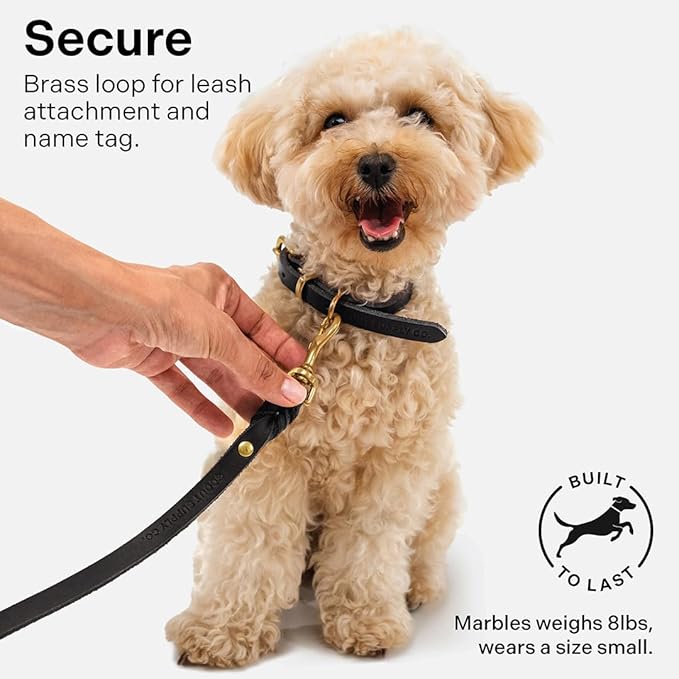 Classic Genuine Leather Dog Collar | Dog Collars for Medium Dogs, Small Dogs, Large Dogs & Extra Large Dog | Wide Dog Collar | Heavy Duty Dog Collar (Black, S: 0.5" Wide for 7.5"-10.5" Neck)
