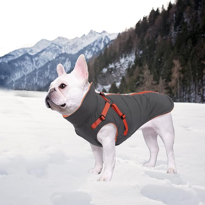 Geyecete Winter Warm Coat Waterproof Dog Winter Jacket with Harness Traction Belt,Windproof Pet Outdoor Jacket-Gray-L