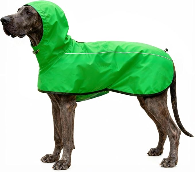 Mosucoirl Dog Raincoat Jacket Reflective Adjustable Hooded Pet Poncho Rain Coats with Leash Hole Waterproof Clothes for Small Medium Large Dogs (Green, L)