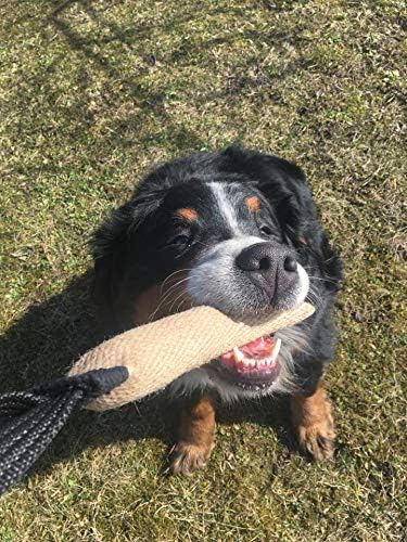Dingo Gear Tug Toy for Dog Training Agility Tug of War, Jute Dog Bumper with one Handle, Dog Bite Pillow for Aggressive Chewers, 16" S00147