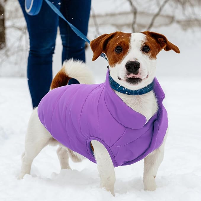 ASENKU Dog Winter Coat - Waterproof Windproof Dog Jacket, Warm Snowproof Doggie Puffer Vest for Cold Weather, Lightweight Snow Coats for Small Medium Large Dogs (Purple, L)
