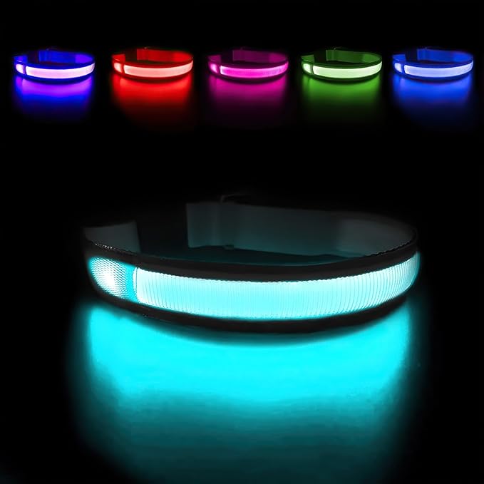 MASBRILL Light Up Dog Collars - LED Dog Collar Rechargeable Lighted Dog Collars Resistant-Water Night Walking Glow in The Dark Collars