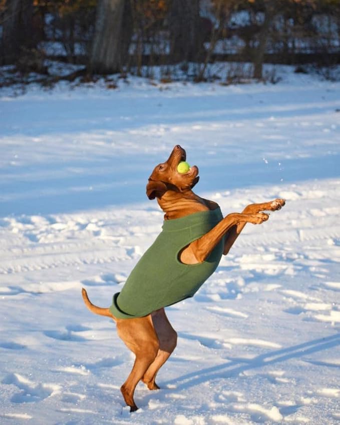 Gooby - Stretch Fleece Vest, Pullover Fleece Vest Jacket Sweater for Dogs, Pumpkin, 3X-Large