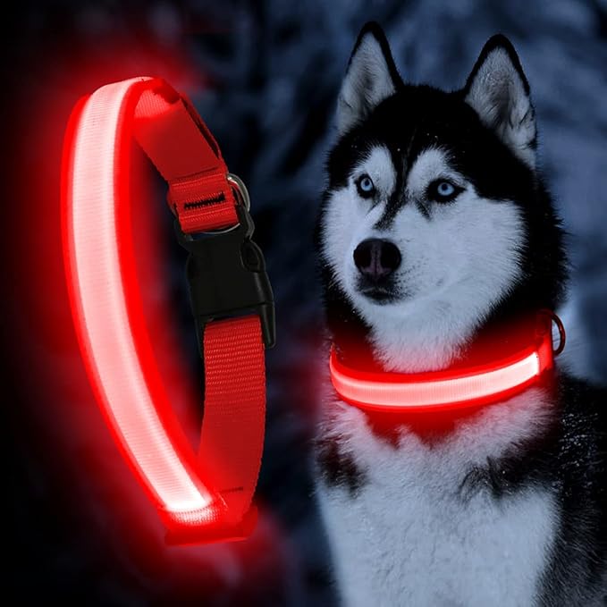 YFbrite Ultra Light Adjustable LED Dog Collar, Light up Dog Collars Rechargeable Glowing in The Dark Collars Visiblity & Safety for Small, Medium, Large Dogs (Red, Large)