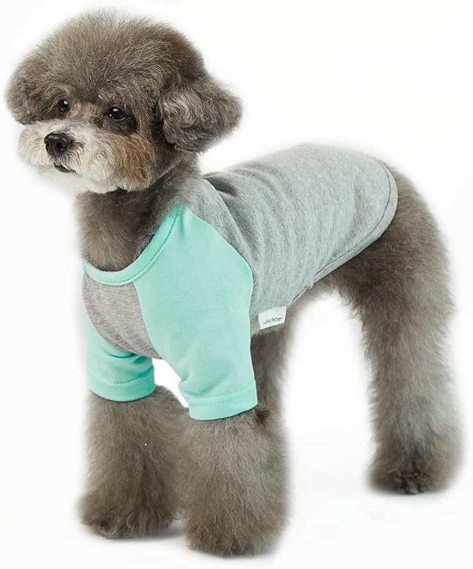 Dog Shirt for Small and Large Dogs Raglan Cotton T-Shirts Soft Breathable Dog Shirts pet Clothes Gray Series (Small, Gray/Mint)