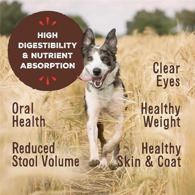 Primal Freeze Dried Raw Dog Food Nuggets, Pork, Complete & Balanced Meal, Also Use as Topper or Treat, Premium, Healthy, Grain Free, High Protein Raw Dog Food, 5.5 oz