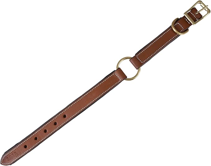 | Genuine Leather Adventure Dog Collar | Full Grain, Heavy Duty | With inner Cushioned padding | Best for Medium, Large & XL Dog (Medium (Fit Neck Size 14.5"-18.5"), Brown With Center O Ring)