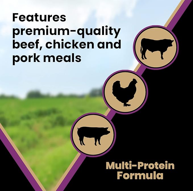 VICTOR Super Premium Dog Food – Professional Kibble Food – Super Premium Kibble with 26% Protein – Gluten-Free with Beef, Chicken & Pork Meals – for High Energy and Active Dogs & Puppies, 5lbs